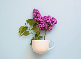 Creative design of flowers. A white cup with spring flowers on white wooden table top view. Flat lay Floral background Bouquet of lilacs