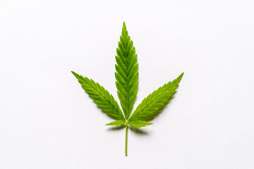 Cannabis leaf