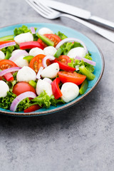 Vegetable salad with cheese mozzarella, tomatoes, basilikum and spice.