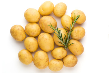 New potato and rosemarin isolated on white background close up.