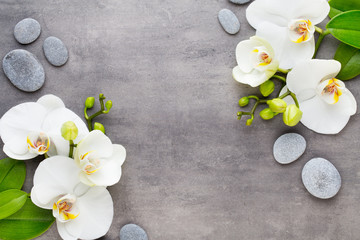 Beauty orchid on a gray background. Spa scene.