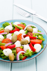 Vegetable salad with cheese mozzarella, tomatoes, basilikum and spice.