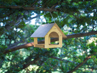 Wooden bird feeder hanging on a tree