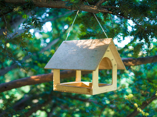 Wooden bird feeder hanging on a tree