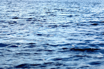 Naklejka premium texture water ripples