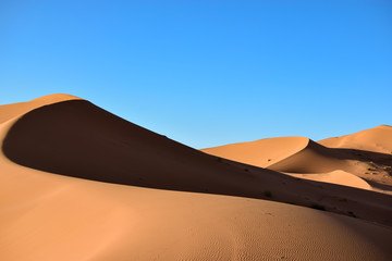 Fototapeta na wymiar Sands, dunes and shadows in the Sahara desert. Photograph taken somewhere in the Sahara desert in Merzouga (Morocco)