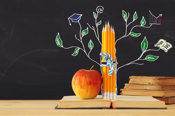 Bck to school concept. tree of knowledge sketch and pencils over open book in front of classroom blackboard.
