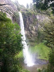 Water fall, New Zealand