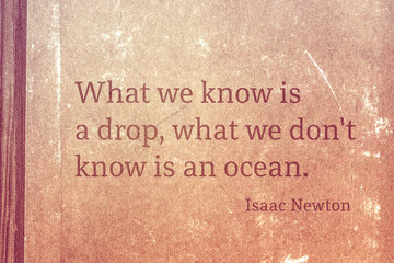 what we know Newton
