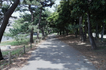 Fototapeta premium 公園