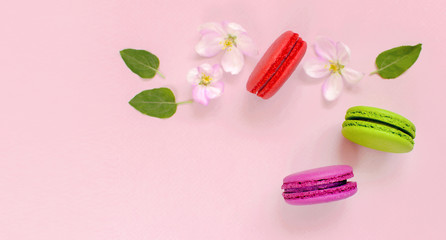 Cake macaron or macaroon with spring flowers on pink background top view flat lay, beautiful dessert, colorful almond cookies, pastel colors