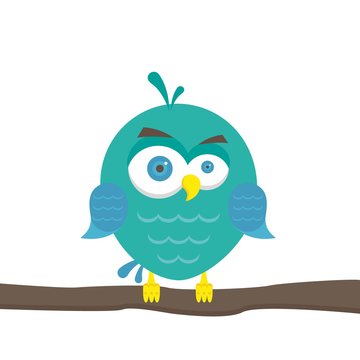 Vector illustration of colorful cartoon funny owl on white background. bird in flat style.