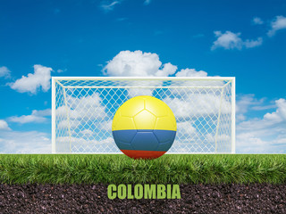 Colombia football  on football or soccer field ,3d