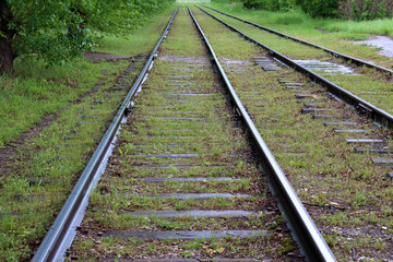 the railway is overgrown with moss and grass