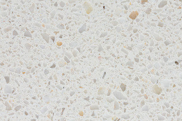 Fresh shiny white stony texture.