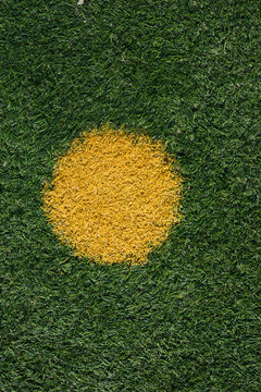 Grass sports field texture background