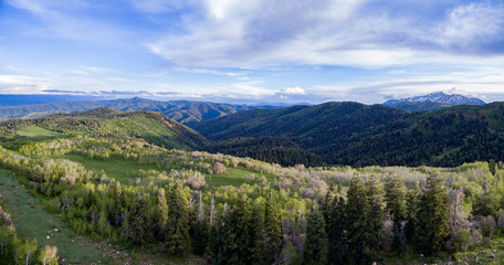 Aerial panoramic view of a mountain forest on a beautiful summer day