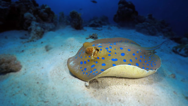 17.05.03_nurek1_satayah_south_00035