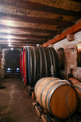barrels in an Alsatian cellar