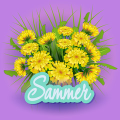 Vector illustration  Springtime on background with spring flowers. Dandelions