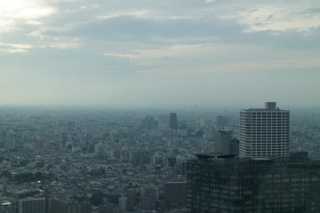 Fototapeta na wymiar 東京新宿の風景
