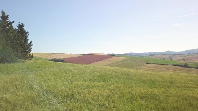 Vista aerea di un bellissimo paesaggio collinare con immensi prati e dune. Val D'Orcia in Toscana 