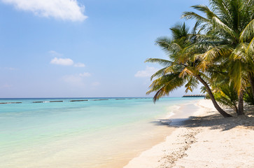 Obraz na płótnie Canvas Blue lagoon and tropical island in Maldives