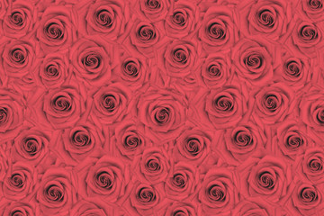 Pink roses background. Abstract flowers backdrop