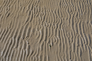 Obraz premium After the tide Italy 2