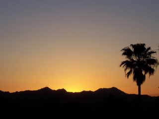 Fototapeta na wymiar Desert Sunset