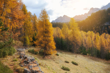 Fototapeta na wymiar Autumn beautiful landscape with mountain and yellow trees, Val Gardena, Dolomites, Italy