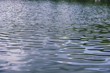 Landscape lake. Texture of water. The lake is at dawn. The mouth