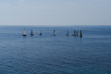 Sailing regatta on the sea