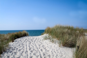 Fototapeta na wymiar Urlaub am Meer, Dünen, Wellen, Strandübergang, Gras, Küste, Natur 