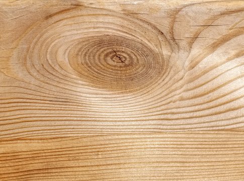 Wood texture, close-up