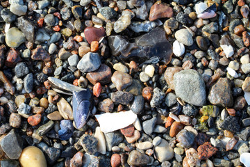 Steine, Kieselsteine