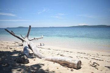 Fototapeta na wymiar Philippines Zambales Island Beach Summer Sand Withered Tree Mountain Sea Blue Sky Background