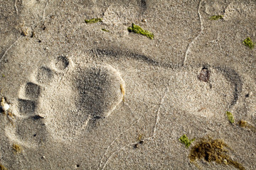 Fußabdruck im Sand