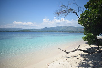 Fototapeta na wymiar Philippines Island Beach Summer Sand Tree Foliage Mountain Sea Sky Background