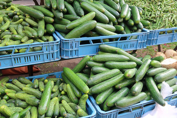 A market stall selling cucumbers and green beans