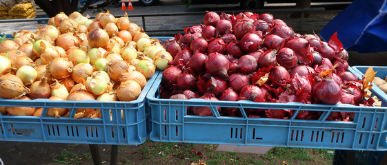 A market stall selling two types of Onion