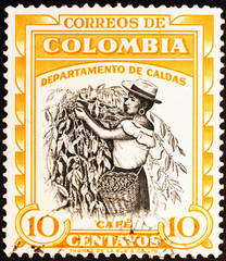 Coffee picker on colombian postage stamp