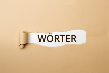 WÖRTER Schriftzug - aufgerissenes Papier