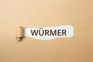 WÜRMER Schriftzug - aufgerissenes Papier