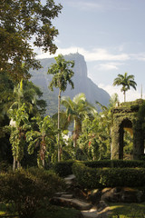 Fototapeta na wymiar Christ the redeemer staten saw from the botanic garden in Rio de Janeiro