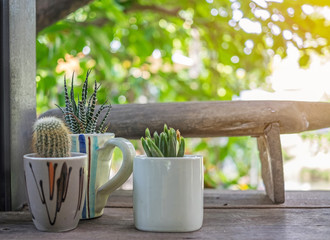 small beautiful cactus in the pot and coffee cup on wood desk with blur background
