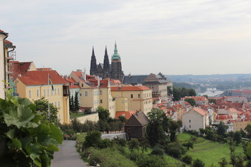 Fototapeta premium Prague panorama