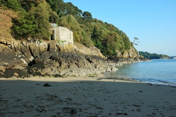 stony green ocean shore