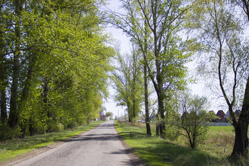 Obraz premium The beauty of nature of the Kharkiv region, Ukraine