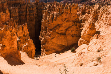 Bryce Canyon: Scenic view of rock formations in Arizona, USA